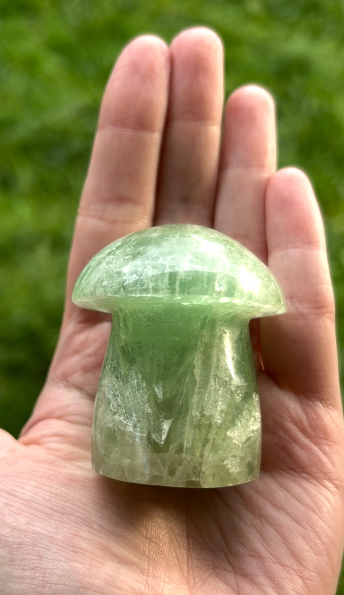 Fluorite mushroom